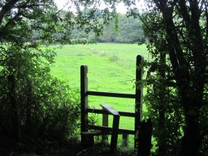 Nuthurst Parish Council Around the Parish