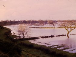 River Eden in flood