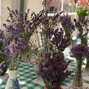 HBT Horticultural Society Photographs 2026