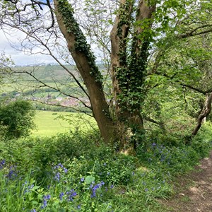 Chillerton and Gatcombe Parish Council Village Photos