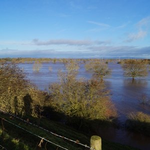 2015 Dec Floods from Long Bank KOE