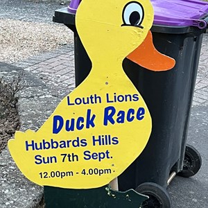Louth & District Lions Home