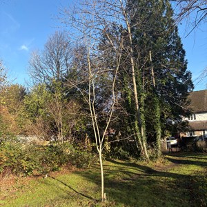 Speldhurst Parish Council Pocket Park Project