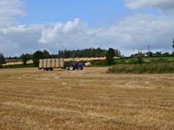 Chollerton Parish Council Home