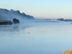 'Fog on the Trent'  by  Steve Sharpe