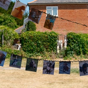 HBT Horticultural Society Photographs 2026