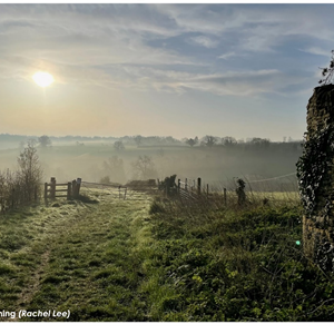 Frosty Morning - Rachel