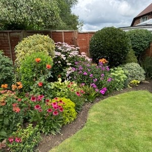 Golden Jubilee cup 2025