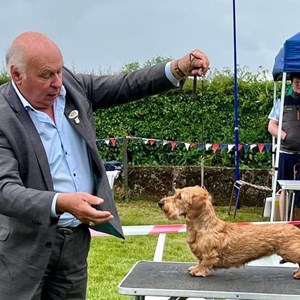 Whixall Social Centre Whixall Companion Dog Show 2024