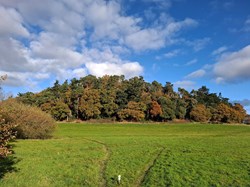 Bomere Heath & District Parish Council Home