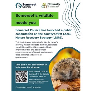 Buckland Dinham Notice Boards