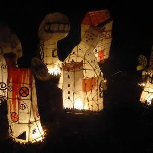 Stewarts Park Light Show