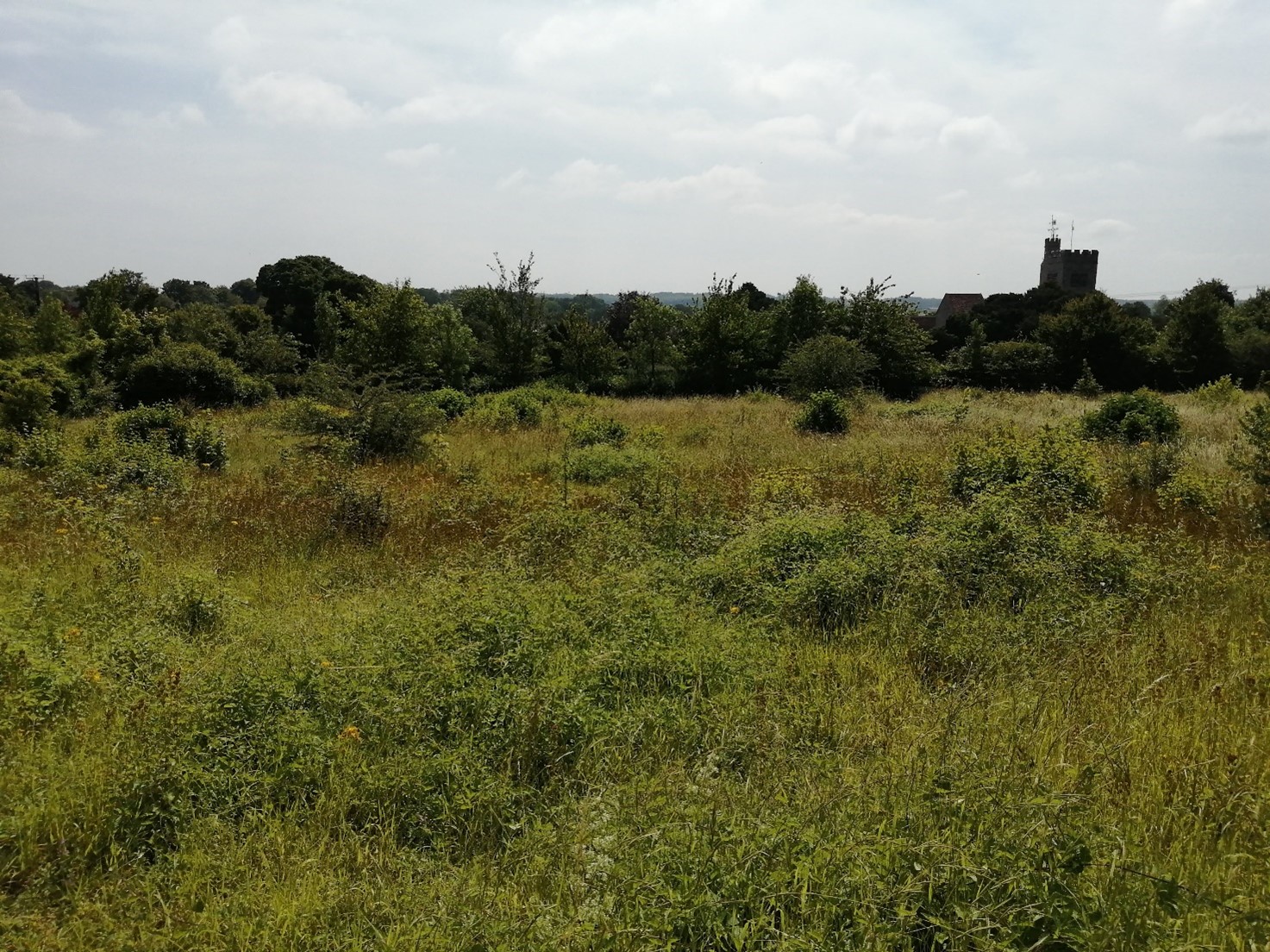A view of Teers Meadow looking towards the church.