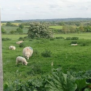 Shuttington and Alvecote Parish Council Gallery
