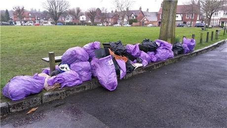 Horsmonden Parish Council Clean for the Queen