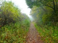 Burghwallis Parish Council Part One