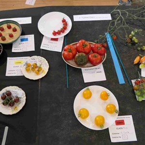Goodworth Clatford Parish Council  Fete 2026 photos