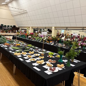 Mannings Heath & District Horticultural Society Summer Show 2025