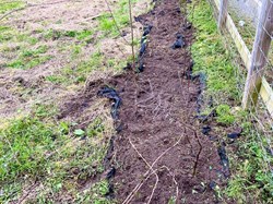 Wybunbury Parish Council Sally Clarkes Meadow