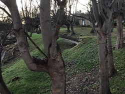 Dark mornings of Winter 1