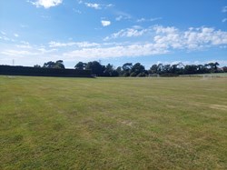 Part of the Grounds