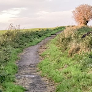 Asenby Parish Council Local Walks