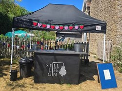 Buckland Dinham Strawberry Fayre
