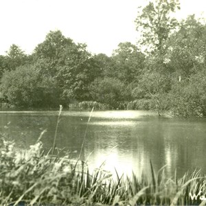 Warnford Pond