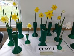 Bucklebury and Marlston Horticultural Society Spring Show Report 2026