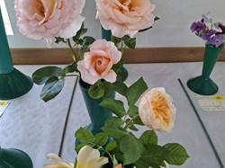 Bucklebury and Marlston Horticultural Society Summer Show 2026