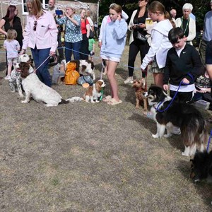 Goodworth Clatford Parish Council  Fete 2026 photos