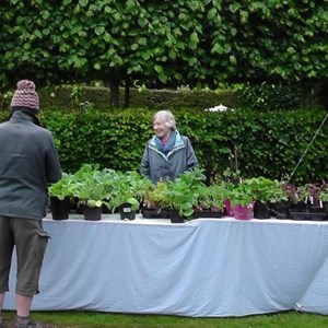 Maidford Parish Council Summer Fete