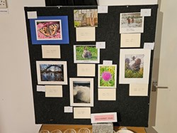 Martinstown Village Hall Martinstown Craft and Garden Show