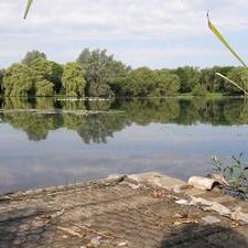 Shuttington and Alvecote Parish Council Gallery