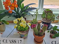 Bucklebury and Marlston Horticultural Society Summer Show 2026