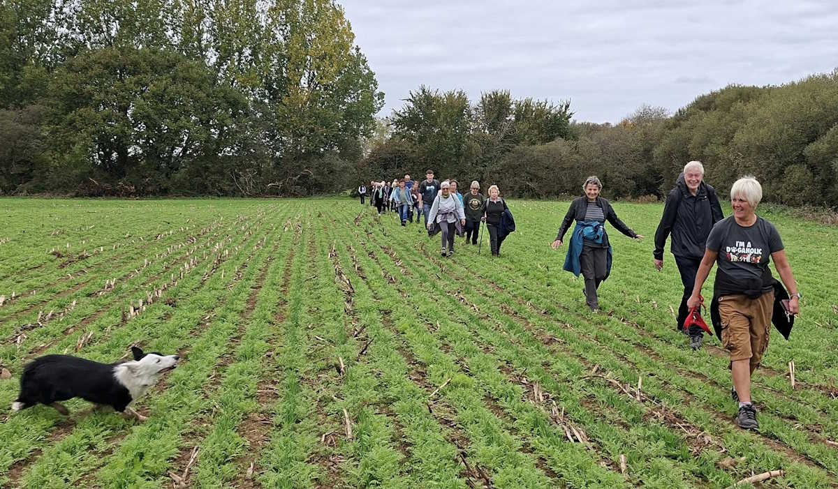 Godshill Matters 17th October 2025