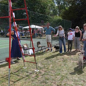 Goodworth Clatford Parish Council  Fete 2026 photos