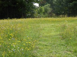 2018 New wildlife area