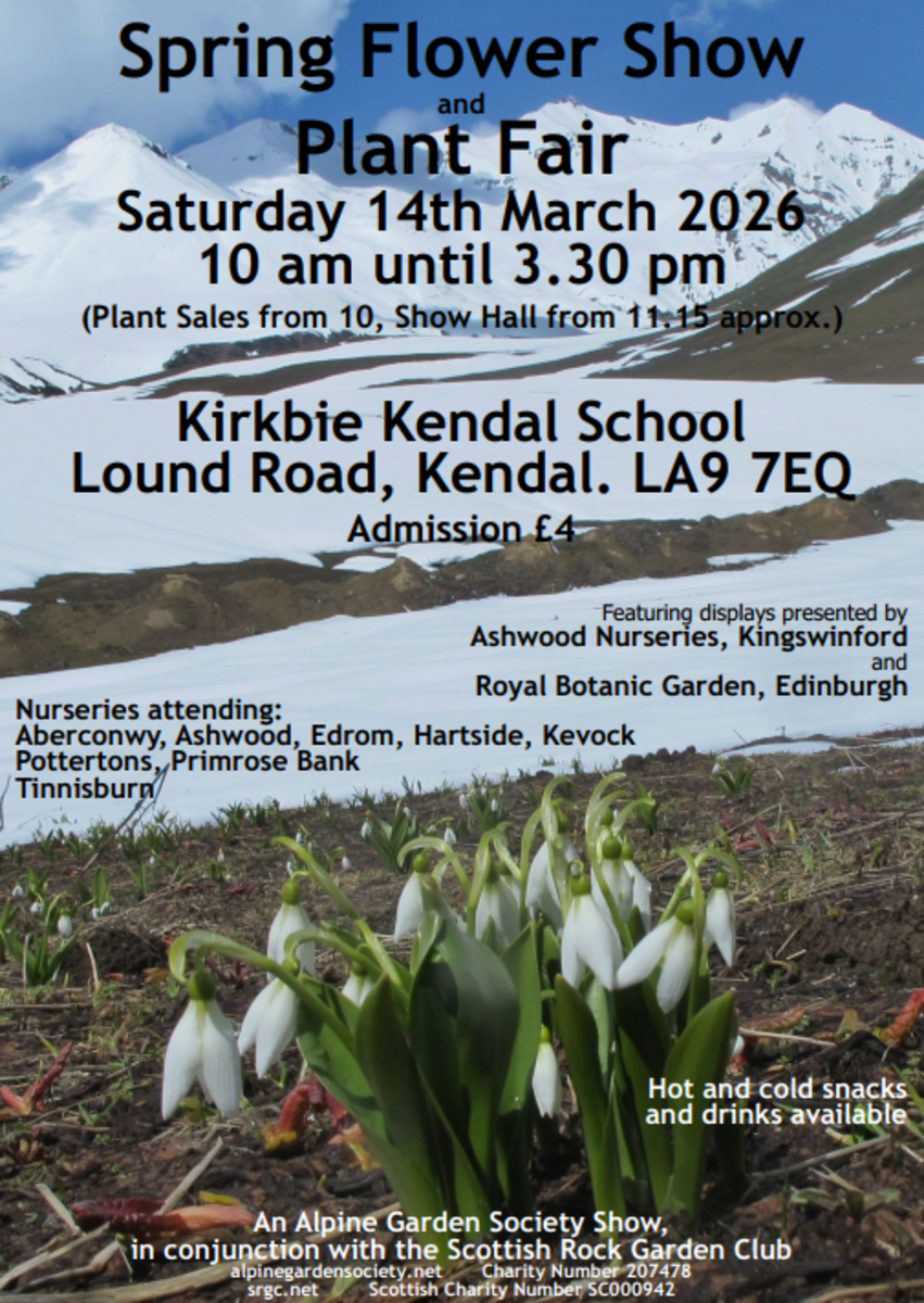 HPSNW Programme 2026