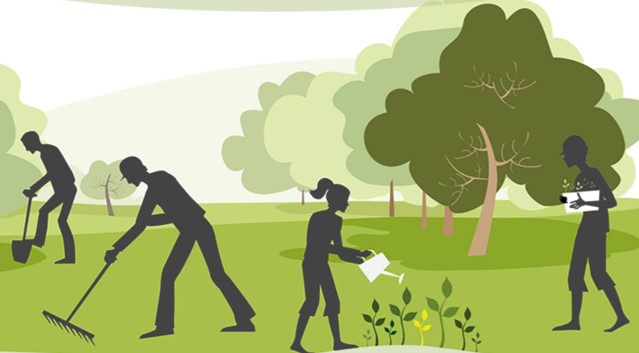 Lynemouth Parish Council Allotments