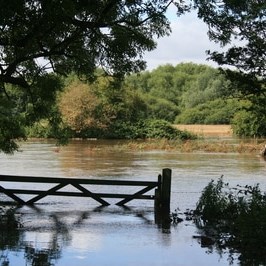 Shuttington and Alvecote Parish Council Gallery