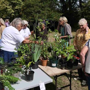 Goodworth Clatford Parish Council  Fete and Flower Show 2026 photos