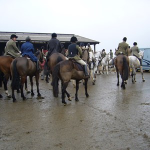 2016: The hunt at at East Farm