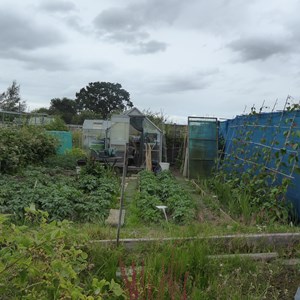 New Waltham Parish Council Allotments