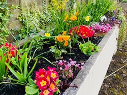 Ightfield Parish Council Calverhall in Bloom