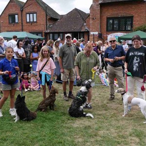 Goodworth Clatford Parish Council  Fete 2026 photos