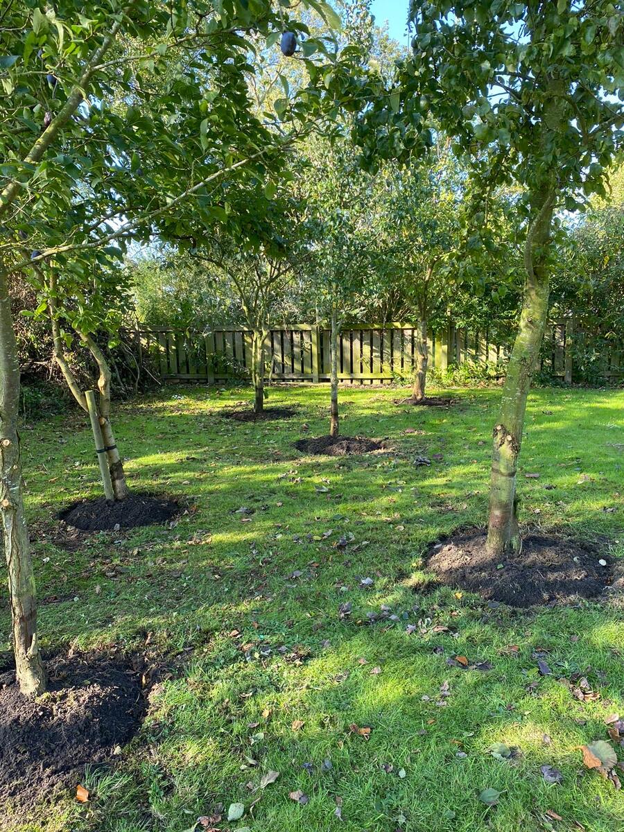 The children from toddlers and youth club will be planting some spring flowering bulbs in the roundels.