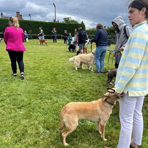 Whixall Social Centre Whixall Companion Dog Show 2024