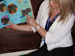 2014 Library afternoon at The Drovers Rest