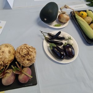 Vegetable collection